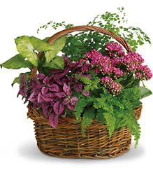 Secret Garden Basket from In Full Bloom in Farmingdale, NY